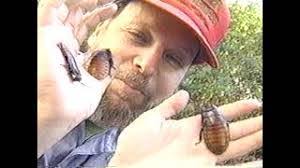 Steven Kutcher's Instagram, Twitter & Facebook