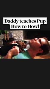 Teaching your dog to howl on cue How To Teach Your Dog To Howl Diy Tutorial Cute Beagle Puppy Artofit