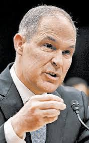 Devin Larkin's Instagram, Twitter & Facebook