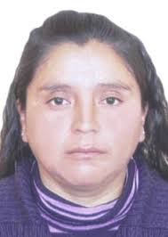 Antecedentes de Otorongos Elecciones 2022