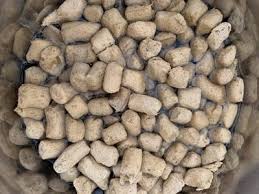 Best high protein dry food for indoor cats. Dr Marty Nature S Blend Freeze Dried Food Review Little Dog Tips