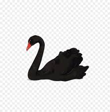 Duck Cartoon Png Download 656 927 Free Transparent Black Swan Png Download Cleanpng Kisspng Download 487 cartoon swans stock illustrations, vectors & clipart for free or amazingly low rates! duck cartoon png download 656 927