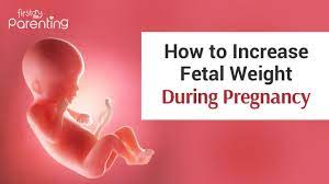 These are some fabulous sources of calcium. How To Increase Baby Weight During Pregnancy