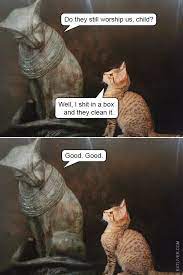 Worship Cat Kitten Kitty Egypt God Cat Memes Funny Funny Animal Pictures