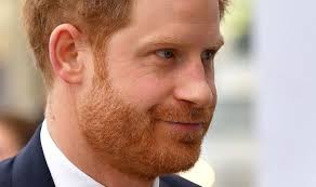 Prince Harry facing calls to be removed ...