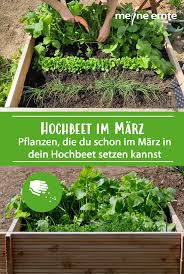 Gibt es noch ein paar gemüsesorten, die du entweder in deinem garten säen oder als jungpflanze in die erde setzen kannst. Pin Auf Hochbeete Fur Gemuse