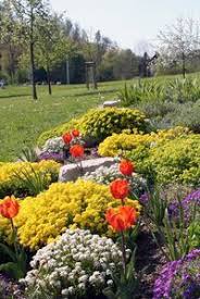 Pflanzen Fur Trockene Und Sonnige Standorte Mit Bildern Garten Bepflanzen