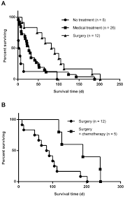 Hemangiosarcoma in dogs accounts for about 5 to 7% of all malignant cancers. Kaplan Meier Survival Curves For Dogs With Right Atrial Or Auricular Download Scientific Diagram