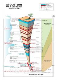 Https Www Quora Com Profile Dan Robb 2 Science Infographics Charts And Graphs Evolution