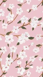Looking for the best wallpapers? 320 Shades Of White And Cream Flowers Background Ideas Flower Backgrounds Cream Flowers Shades Of White