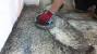 Concrete Floor Grinder Rental Near Me