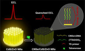 Comparte tus vídeos en spankbang. Black Body Effect Of Carbon Nanospheres A Broadband Energy Acceptor In Constructing Electrochemiluminescence Resonance Energy Transfer For Biosensing Sciencedirect