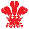 The prince of wales's emblem is three ostrich feathers. 1
