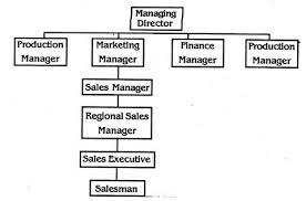 organisation chart and manual