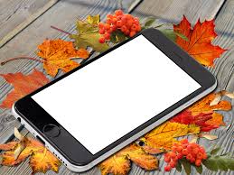 Autumn Png Frame Photomontage Pretty Phone Wallpaper Amazing Flowers