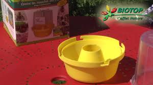 Comment Pieger Les Mouches Des Fruits Youtube