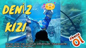 Funtastic Akvaryum Izmir Westpark Akvaryum Youtube