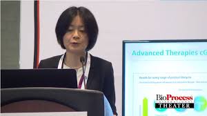 Vero cells are lineages of cells used in cell cultures. A Platform Production Process For Manufacturing Viral Vector And Vaccine Therapeutics Using Vero Cells Bioprocess Internationalbioprocess International