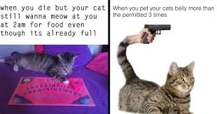 Wholesome meme, during which the meme employs the usually snarky format to convey a message of affection and support. Memebase Wholesome Memes All Your Memes In Our Base Funny Memes Cheezburger