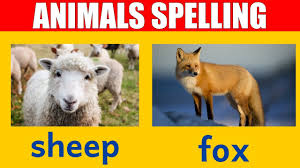 Animal Names Learn Spelling And Pronunciation Of Words In English Youtube