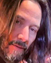 Hollywood and Haley in the house