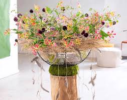 Image result for Gloriosa