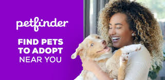 Adopt a dog, adopt a cat. Petfinder Adopt A Pet Apps On Google Play