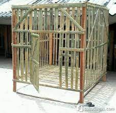 Anak ayam bangkok yang bagus bisa dilihat dari postur tubuh yang dimiliki oleh ayam tersebut. Kandang Ayam Bangkok Dari Bambu Ayam Bangkok