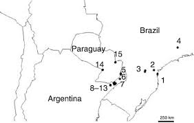 More than 150,000 people in paraguay, argentina, uruguay and brazil have been driven from their homes by some of the worst flooding in years. Sampling Localities In Brazil Argentina And Paraguay Numbers Refer Download Scientific Diagram