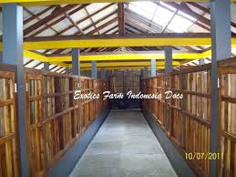 We did not find results for: Kandang Kambing Etawa Ras Kaligesing Di Bandung Exotics Farm Indonesia