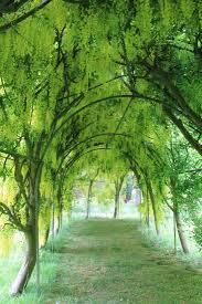 Arbors Ambience Dream Garden English Country Manor Beautiful Gardens