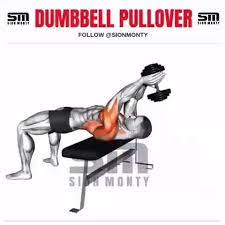 Zu jedem buchstabenpaar gibt es mehrere Dumbbell Pullover Dumbbell Pullover Workoutplans Schulterubungen Oberkorpertraining Hantel Ubungen