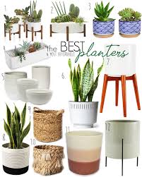 The best pots for indoor plants: The Best Most Affordable Indoor Planters Stealing Pretty