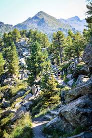 Wandern In Hall Wattens Der Zirbenweg Anemina Travels Wandern Osterreich Wandern Ausflug