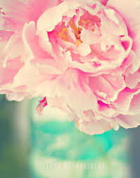 Résultat de recherche d'images pour