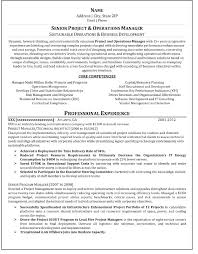 professional resume writing service san