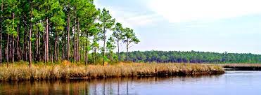 The refuge was established in 1992 the 10,188 acre refuge partially overlays the grand bay national estuarine research reserve. Home Grand Bay U S Fish And Wildlife Service