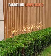 Led Solar Dandelion Lights Video Video Dandelion Light Lawn Lights Lights