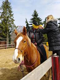 Klischees wie diese machen vielen gefallenen reitern das leben schwer. Blondie Und Blindie Oder Horsemanship Wirkt Weinzierl Horsemanship