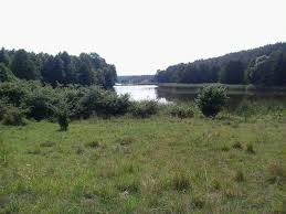 Rakowiec map — satellite images of rakowiec. Rakowiec Home Facebook