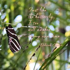Spring Butterfly Quote Photograph By Traditionally Unique Photography