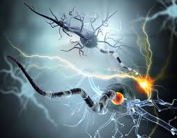 Resultado de imagen de foto fotos de LA EPILEPSIa