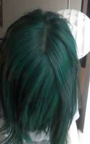 Then, cover the top of your forehead and neck with petroleum jelly or conditioner, so you don't get dye on your skin. Manic Panic Enchanted Forest Unbleached Hair Google Search Hair Styles Dark Green Hair Green Hair