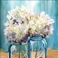 Happy Hydrangeas event image