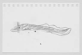 Whether you are looking to draw a portrait or a landscape, pencil drawing would be a brilliant idea. Josh Smith Mountain Brook Lamprey 4 Whitney Museum Of American Art