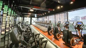 Düzenli spor yapan kişilerin sayısı gittikçe artıyor ve bu da daha fazla üye sayısı ve daha fazla salon ihtiyacı anlamına geliyor. Okyanusfly Bay Bayan Ayri Konsept Fitness Yuzme Havuzu Sauna