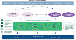 Should the united states adopt a nationalized health insurance plan or universal medicare. Fit For The Future A Regional Governance Structure For A New Age The Medical Journal Of Australia