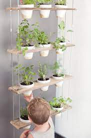 Ideas For A Stylish Indoor Kitchen Herb Garden Http Centophobe Com Ideas For A Stylish Indoor Kitchen Herb Herb Garden In Kitchen Diy Plants Herbs Indoors