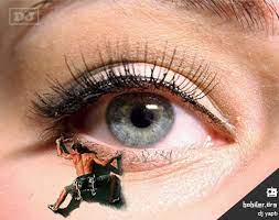 Goze Girmek Mavi Goz Makyaji Kirpik Gozler