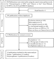 Association Between Osteoprotegerin And Charcot Neuroarthropathy A Systematic Review Springerlink